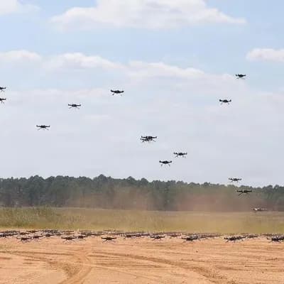 Uniformados de las Fuerzas Militares participaron en el ejercicio Scarlet Dragon. Foto: Foto: Sargento de Estado Mayor del Ejército Brandon Hocson