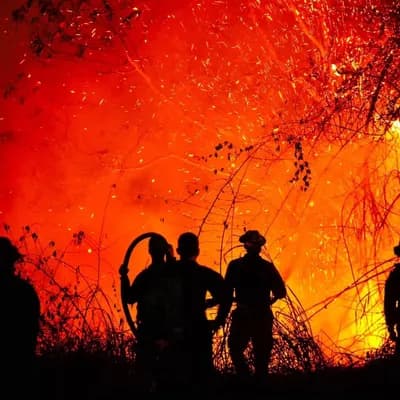 Alerta por incendios forestales en Colombia: 12 focos siguen activos en Tolima, Huila y Caldas