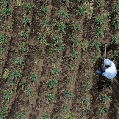 La reforma agraria no está incluida en el “milagro”