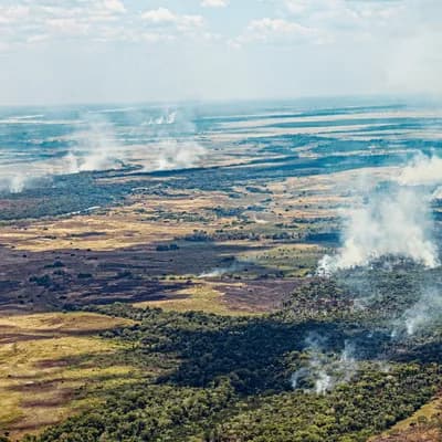 Incendios forestales en Colombia: ¿por qué esta temporada es atípica y qué hacer con los ecosistemas afectados?
