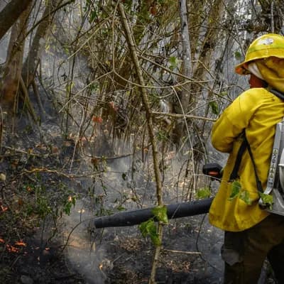Tolima pide ayuda para familias afectadas por incendios forestales: así puede donar