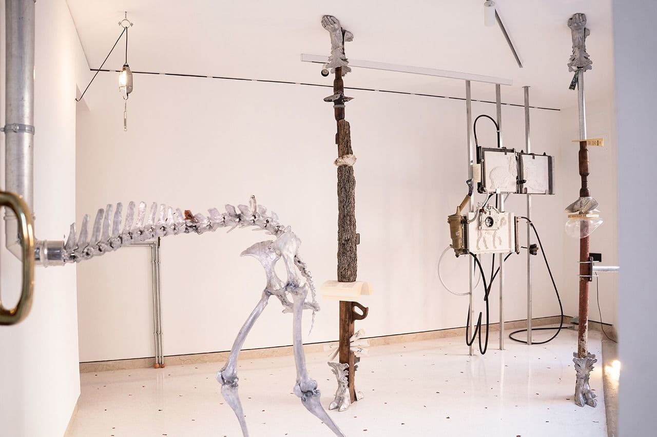 Exposición Mistranslation de Natalia Mejía Murillo en Panorama, Venezia. Créditos: ©PanoramaVenezia Exposición Mistranslation de Natalia Mejía Murillo en Panorama, Venezia. Créditos: ©PanoramaVenezia
