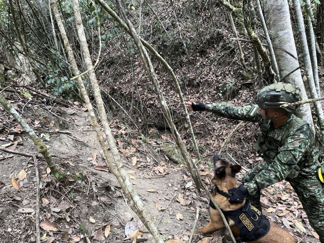 Foto: Ejército Nacional Foto: Ejército Nacional