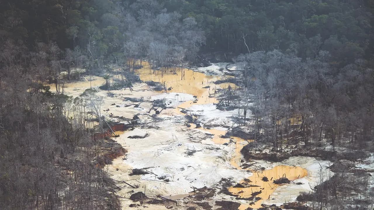 Selva herida: el dramático, silencioso y acelerado deterioro de la Amazonía colombiana Selva herida: el dramático, silencioso y acelerado deterioro de la Amazonía colombiana