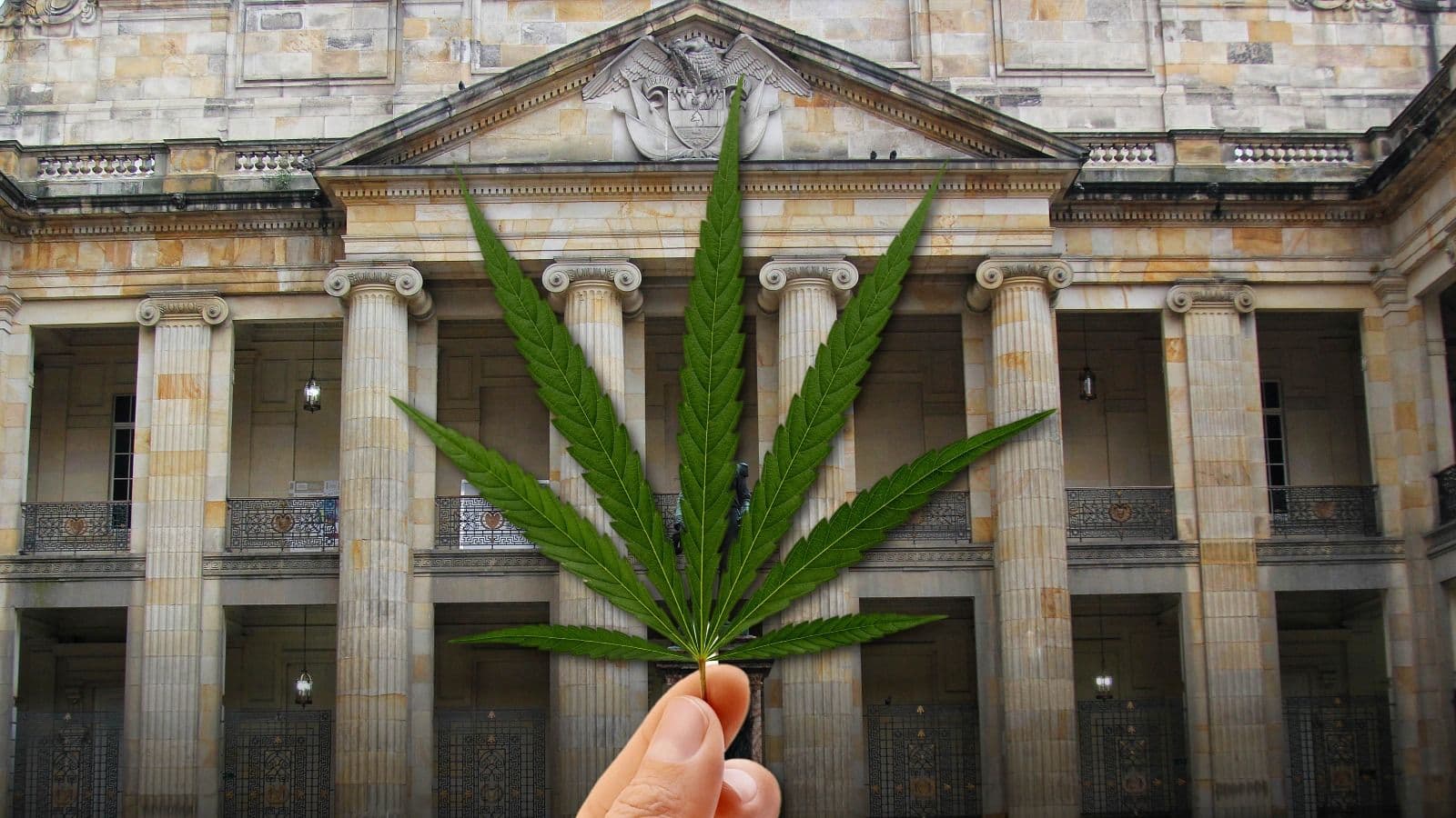 photologuephotos2023-08marihuana_congreso_aprobacion_usojpeg photologuephotos2023-08marihuana_congreso_aprobacion_usojpeg
