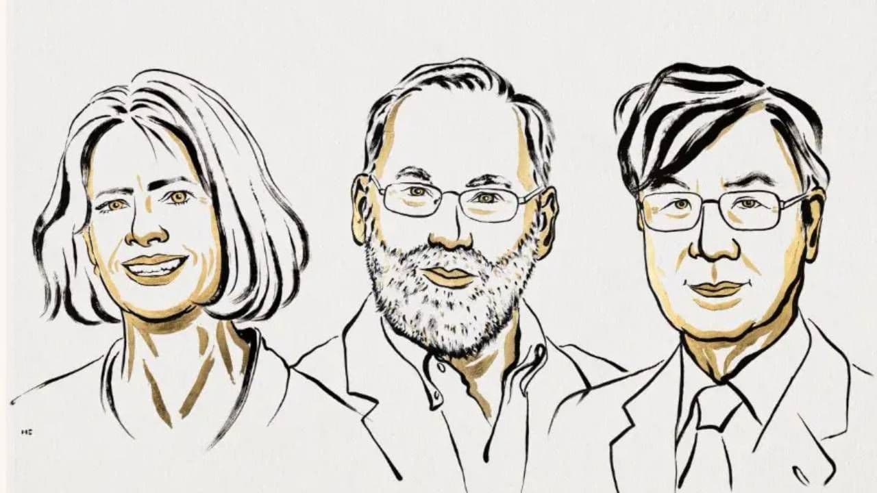 Mary E. Brunkow, Fred Ramsdell y Shimon Sakaguchi Mary E. Brunkow, Fred Ramsdell y Shimon Sakaguchi