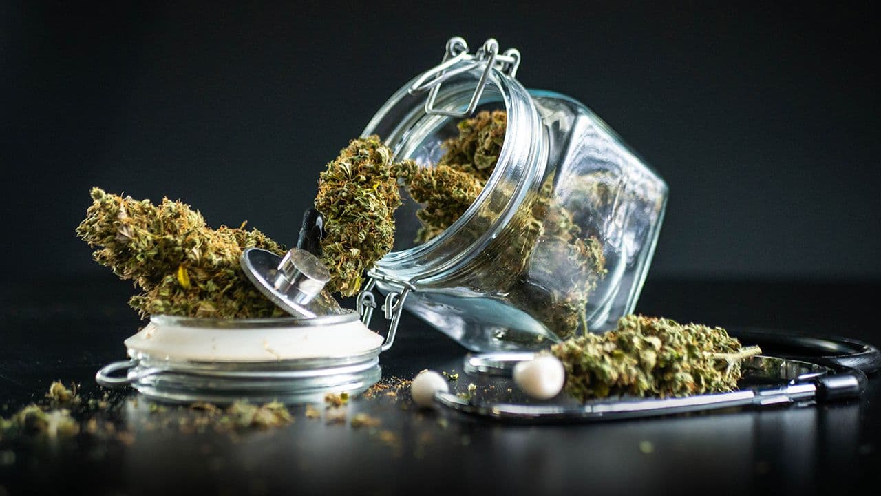 Gobierno autoriza cannabis medicinal Gobierno autoriza cannabis medicinal