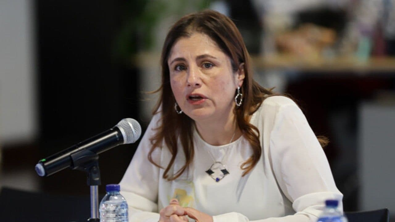 Iris Marín denunció que dos localidades de Bogotá están en riesgo electoral. Créditos: Colprensa Iris Marín denunció que dos localidades de Bogotá están en riesgo electoral. Créditos: Colprensa