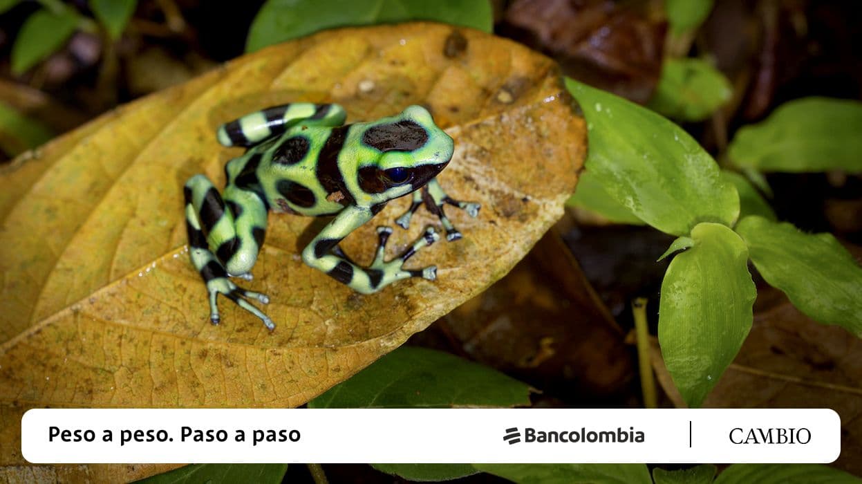 photologuephotos2023-04ecosistemas_principaljpg photologuephotos2023-04ecosistemas_principaljpg