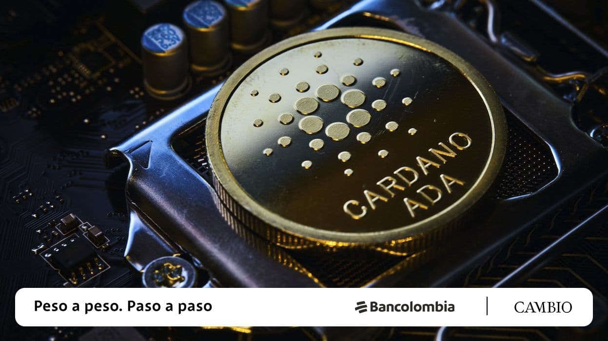 photologuephotos2023-02cardano_principaljpg photologuephotos2023-02cardano_principaljpg