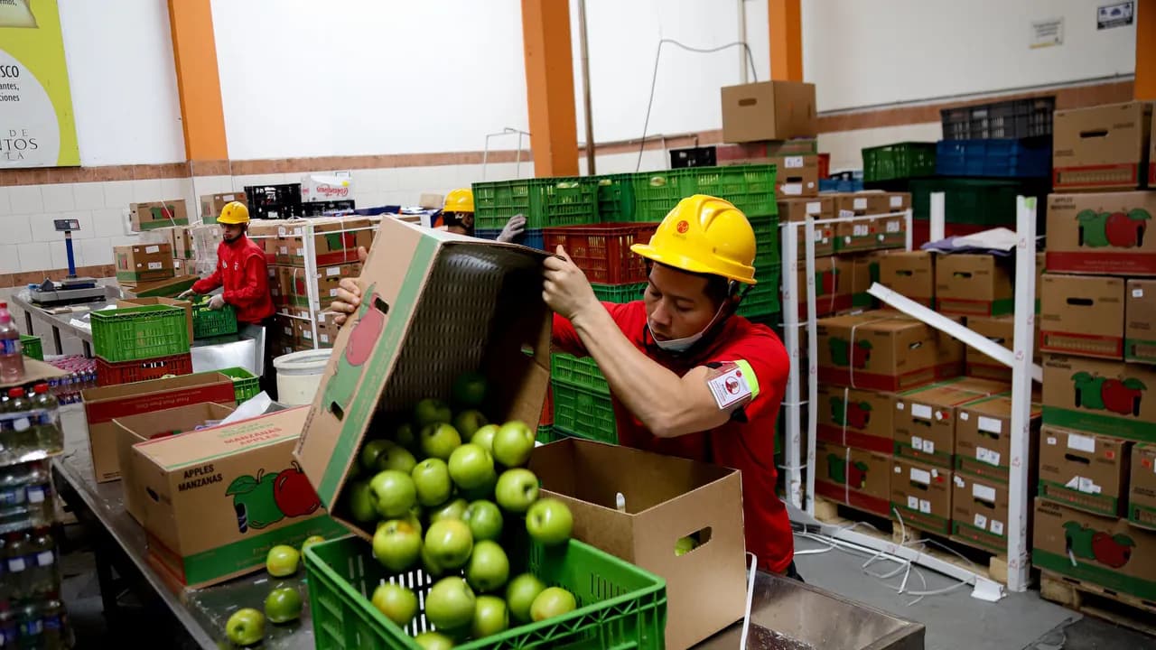 Banco de Alimentos de Bogotá denuncia una página falsa que pide donaciones a nombre de la entidad: "Está suplantando nuestra identidad" Banco de Alimentos de Bogotá denuncia una página falsa que pide donaciones a nombre de la entidad: "Está suplantando nuestra identidad"