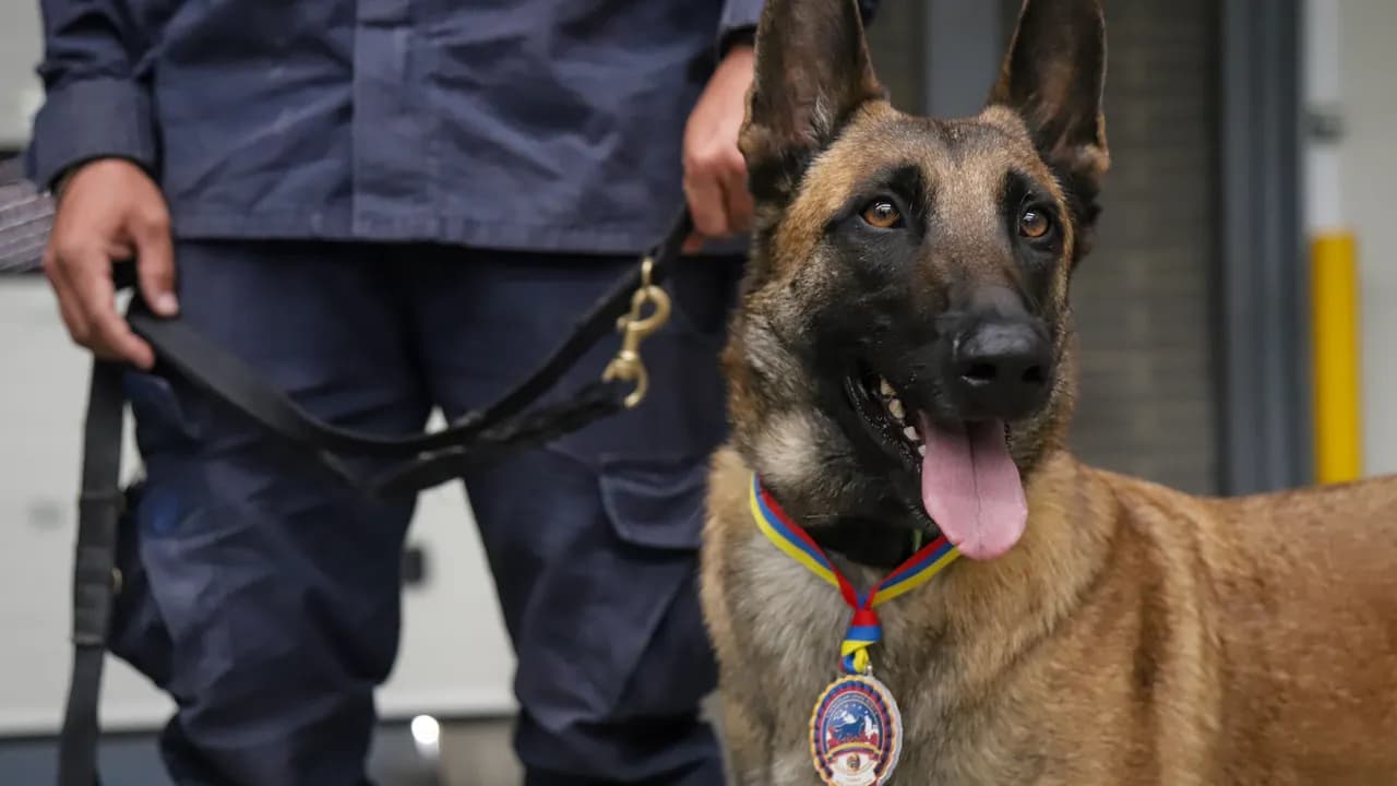 Israel, Estados Unidos, El Salvador y Ecuador: los paises que escogió Colombia para recibir apoyo en tareas de rescate Israel, Estados Unidos, El Salvador y Ecuador: los paises que escogió Colombia para recibir apoyo en tareas de rescate