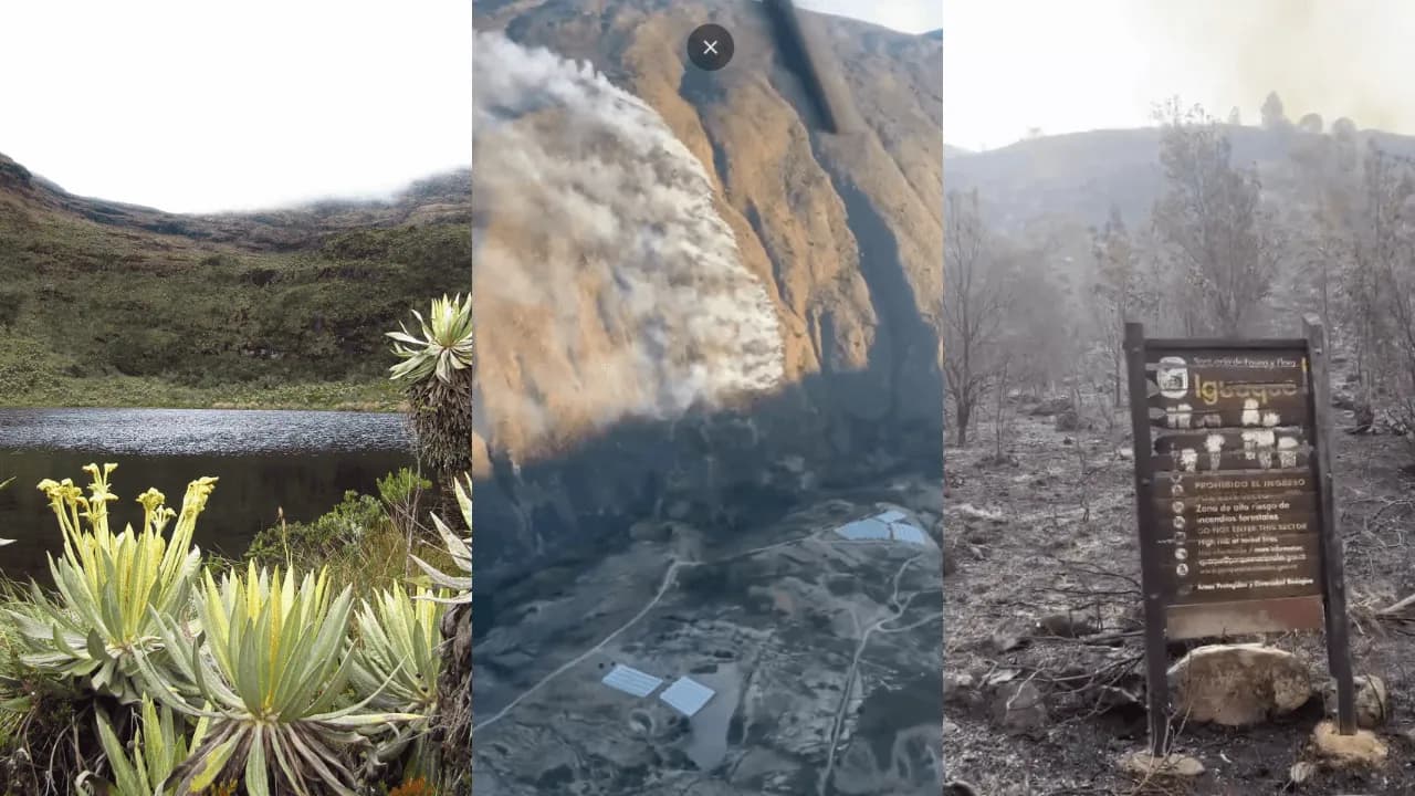 Cuatro días de incendios en Villa de Leyva: el fuego amenaza el Santuario de Iguaque Cuatro días de incendios en Villa de Leyva: el fuego amenaza el Santuario de Iguaque