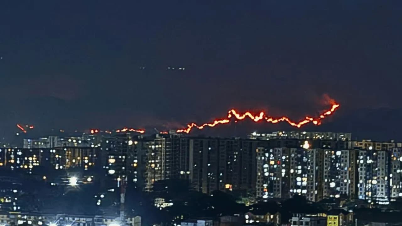 Los incendios en Tolima ya arrasaron un área que dobla el tamaño urbano de Ibagué Los incendios en Tolima ya arrasaron un área que dobla el tamaño urbano de Ibagué