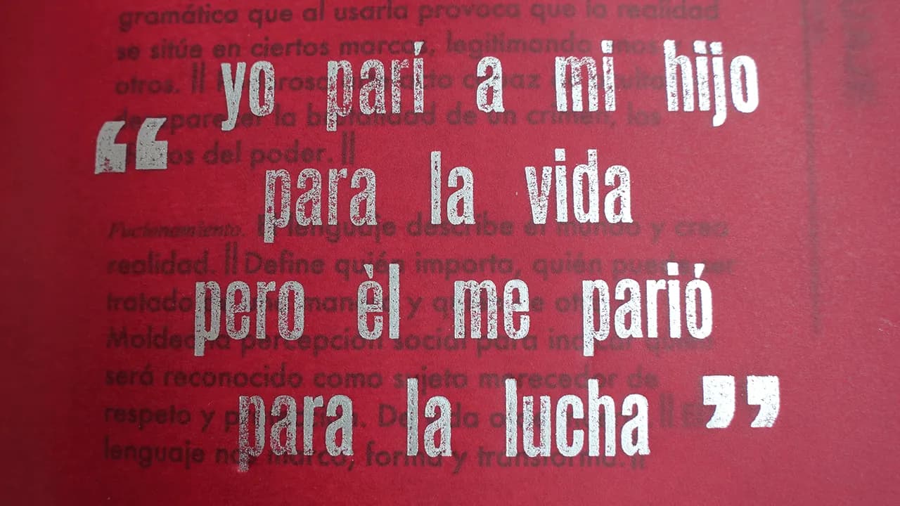 'Distorsiones y Justicia transicional', libro de Luz Marina Bernal. Foto: Pablo David-CAMBIO 'Distorsiones y Justicia transicional', libro de Luz Marina Bernal. Foto: Pablo David-CAMBIO