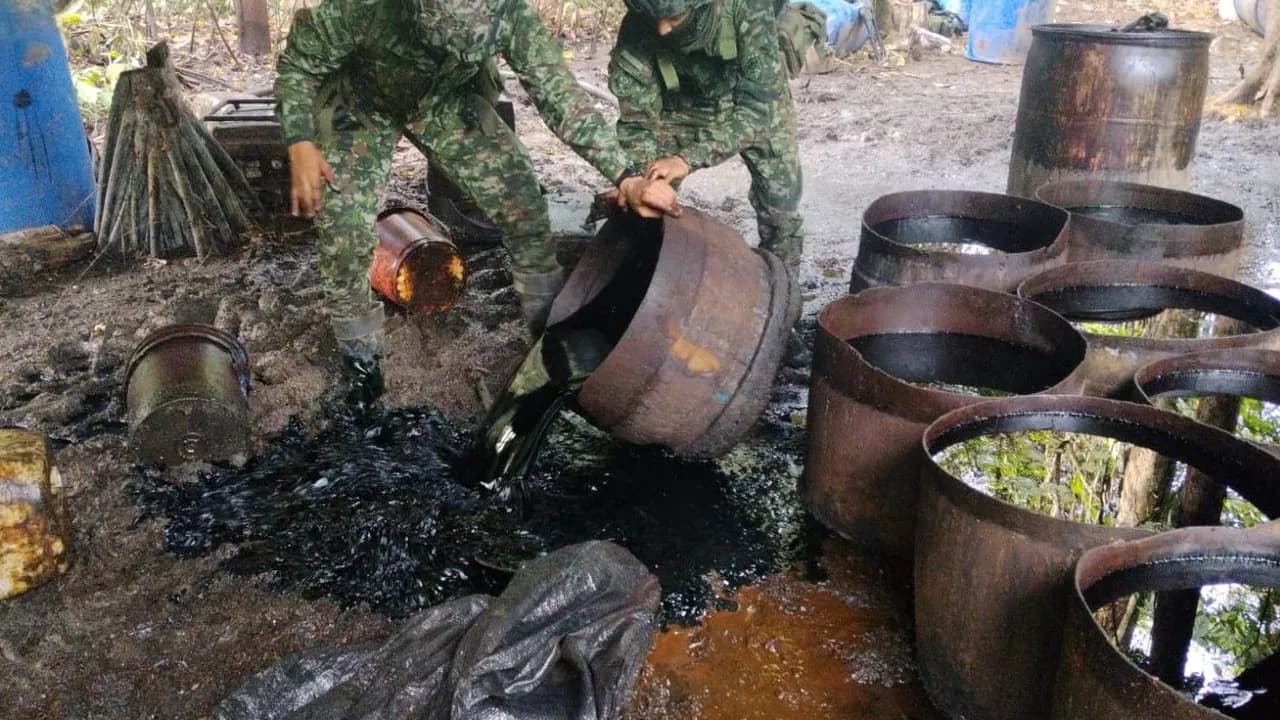 Ejército destruye laboratorio con más de 7,6 toneladas de permanganato de potasio en Putumayo Ejército destruye laboratorio con más de 7,6 toneladas de permanganato de potasio en Putumayo
