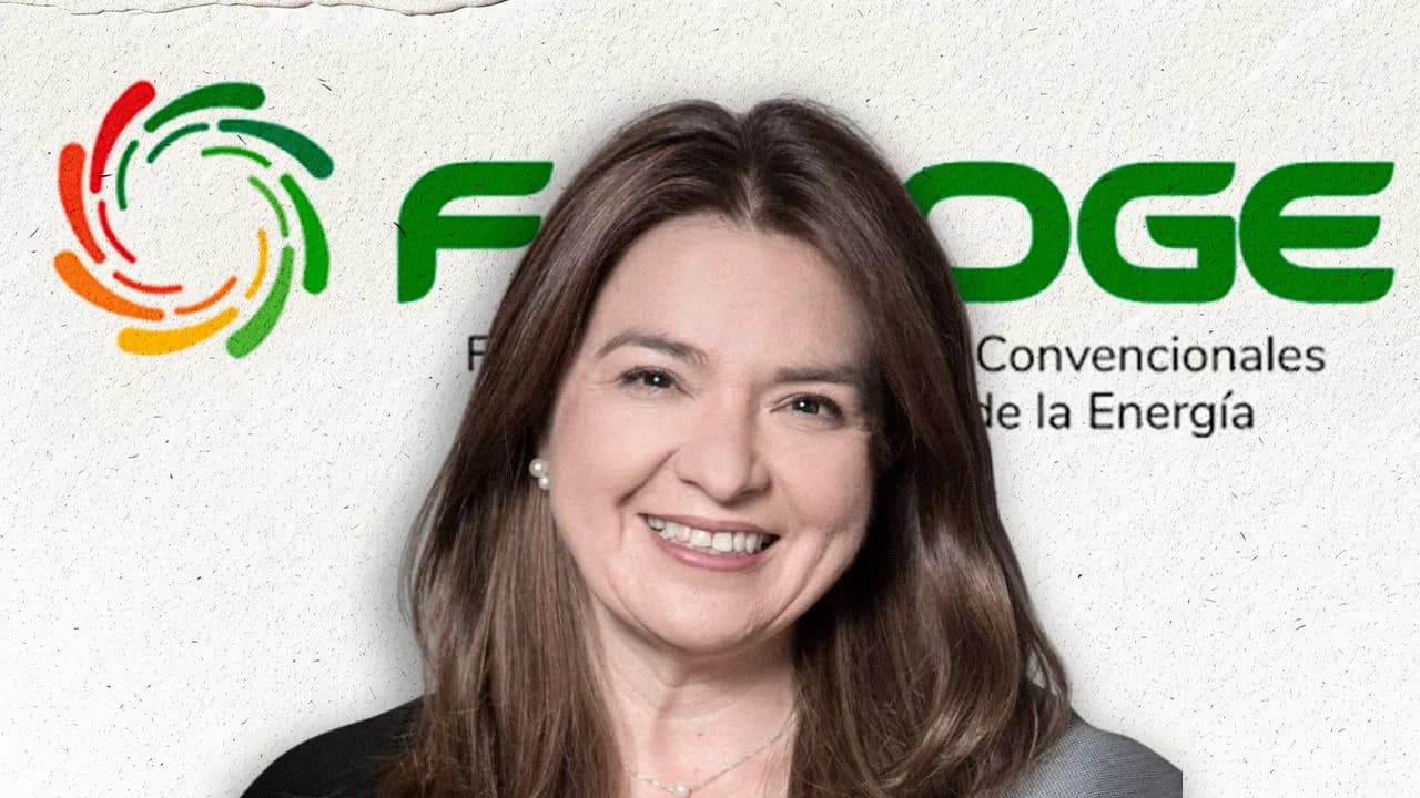 Fenoge aumentó 32 por ciento los honorarios de su nueva directora a pesar de los anuncios de austeridad del nuevo Gobierno Fenoge aumentó 32 por ciento los honorarios de su nueva directora a pesar de los anuncios de austeridad del nuevo Gobierno