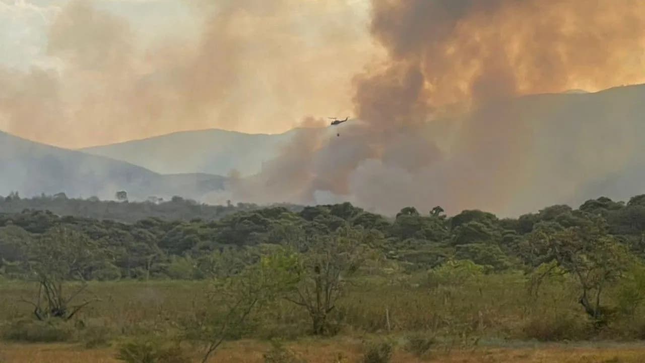 photologuephotos2024-09incendios_forestales_1jpg photologuephotos2024-09incendios_forestales_1jpg