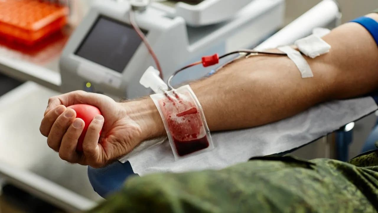 Los testigos de Jehová ahora podrán someterse a transfusiones de sangre. Créditos: Freepik Los testigos de Jehová ahora podrán someterse a transfusiones de sangre. Créditos: Freepik