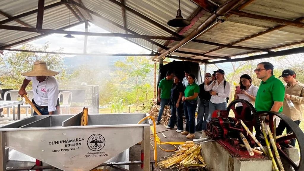 Bancolombia busca conectar a pequeños productores con nuevas oportunidades en Urabá y el occidente de Cundinamarca Bancolombia busca conectar a pequeños productores con nuevas oportunidades en Urabá y el occidente de Cundinamarca