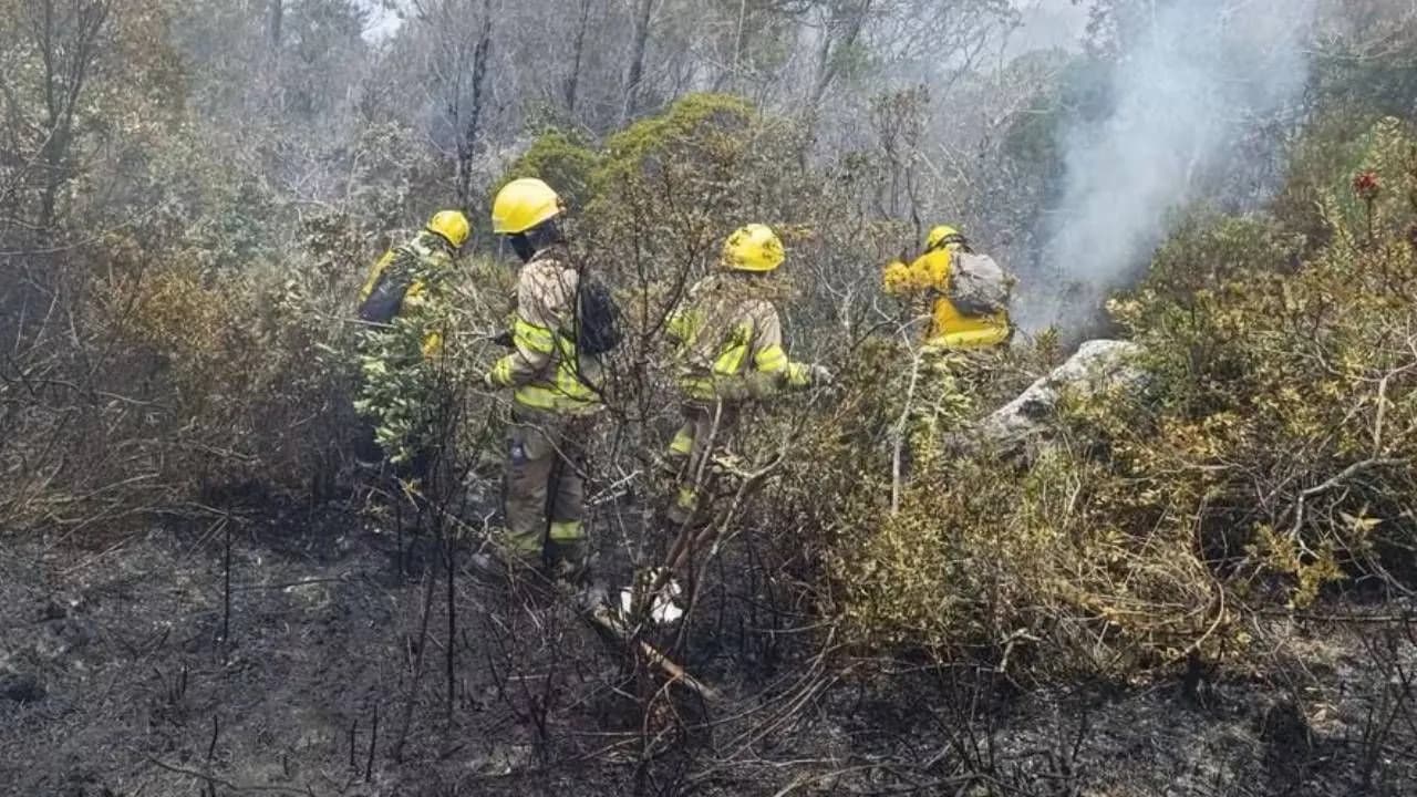 Incendio ha consumido el 11 por ciento del Santuario de Fauna y Flora de Iguaque: hay 1.480 hectáreas afectadas Incendio ha consumido el 11 por ciento del Santuario de Fauna y Flora de Iguaque: hay 1.480 hectáreas afectadas