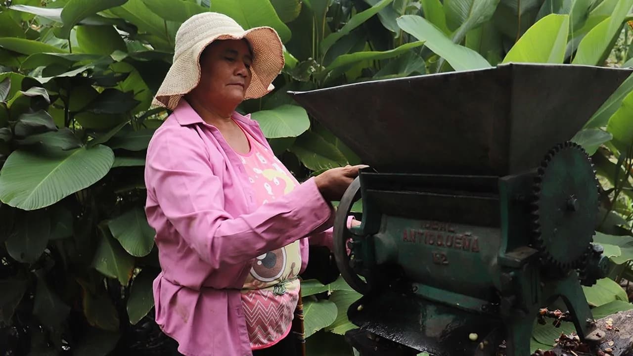 Las mujeres estarán más expuestas a la pobreza: estos son los riesgos que definirán quiénes serán pobres en 2040 Las mujeres estarán más expuestas a la pobreza: estos son los riesgos que definirán quiénes serán pobres en 2040