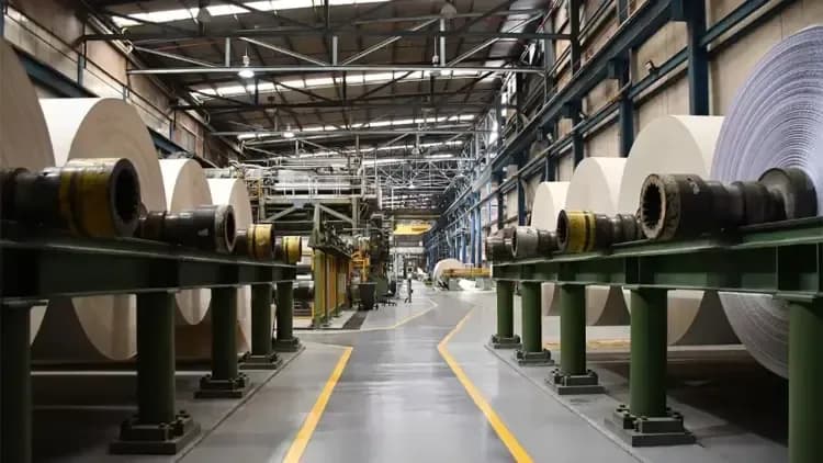 Propal entra en liquidación: las razones detrás de la caída de la histórica empresa colombiana Propal entra en liquidación: las razones detrás de la caída de la histórica empresa colombiana