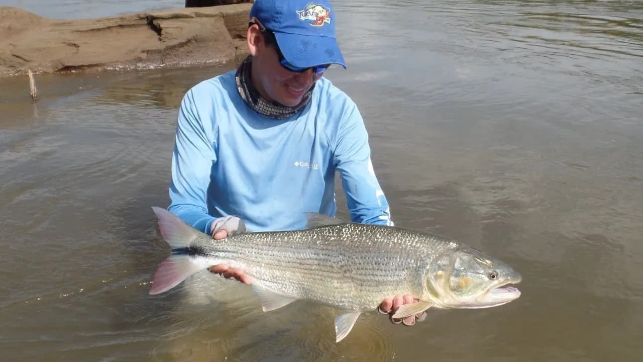 photologuephotos2022-05pesca1jpeg photologuephotos2022-05pesca1jpeg