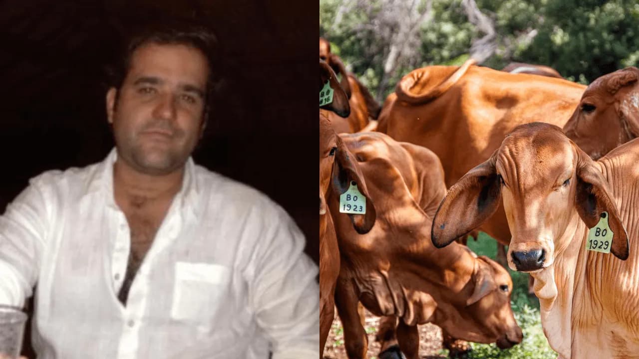 photologuephotos2023-09felipe_rocha_0png photologuephotos2023-09felipe_rocha_0png