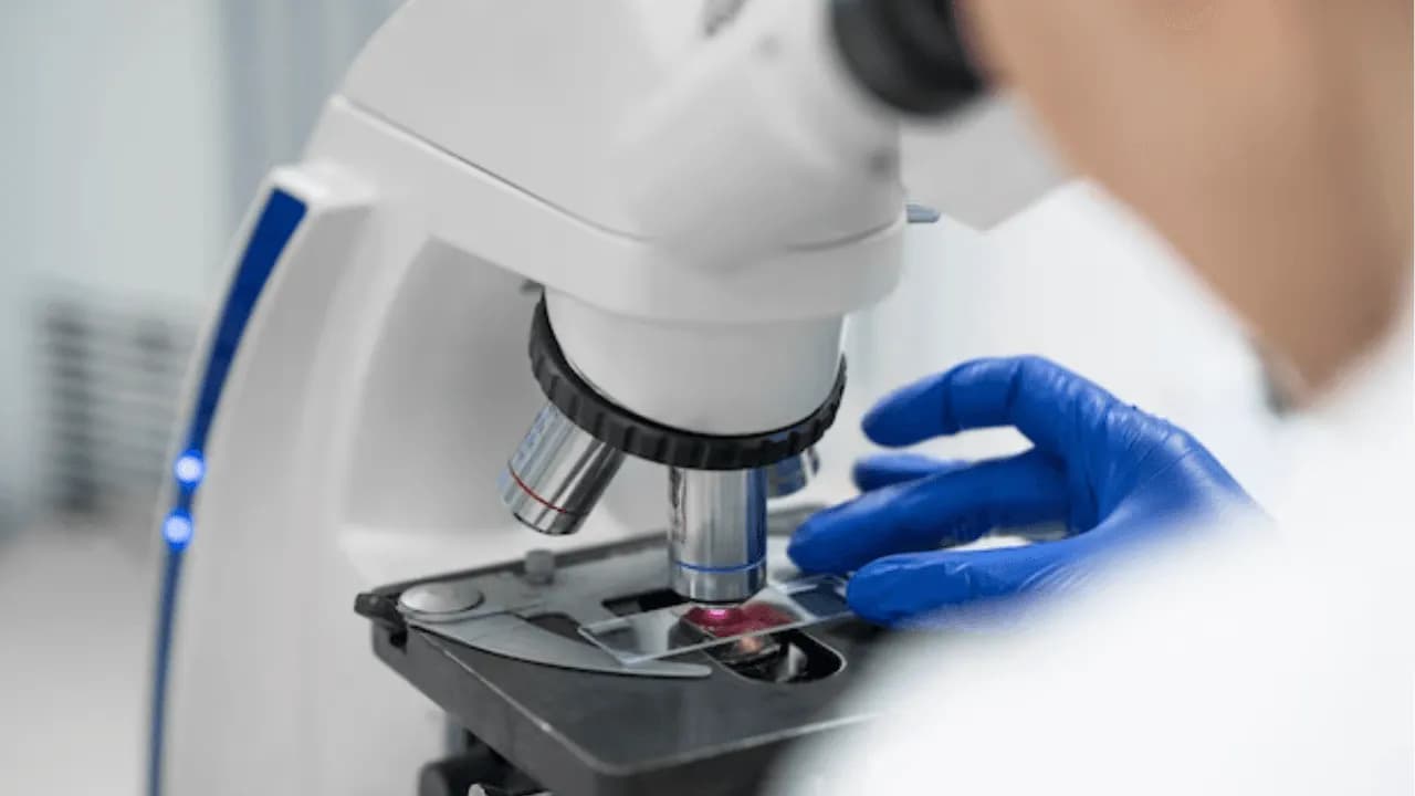 photologuephotos2023-10bacteriapng photologuephotos2023-10bacteriapng