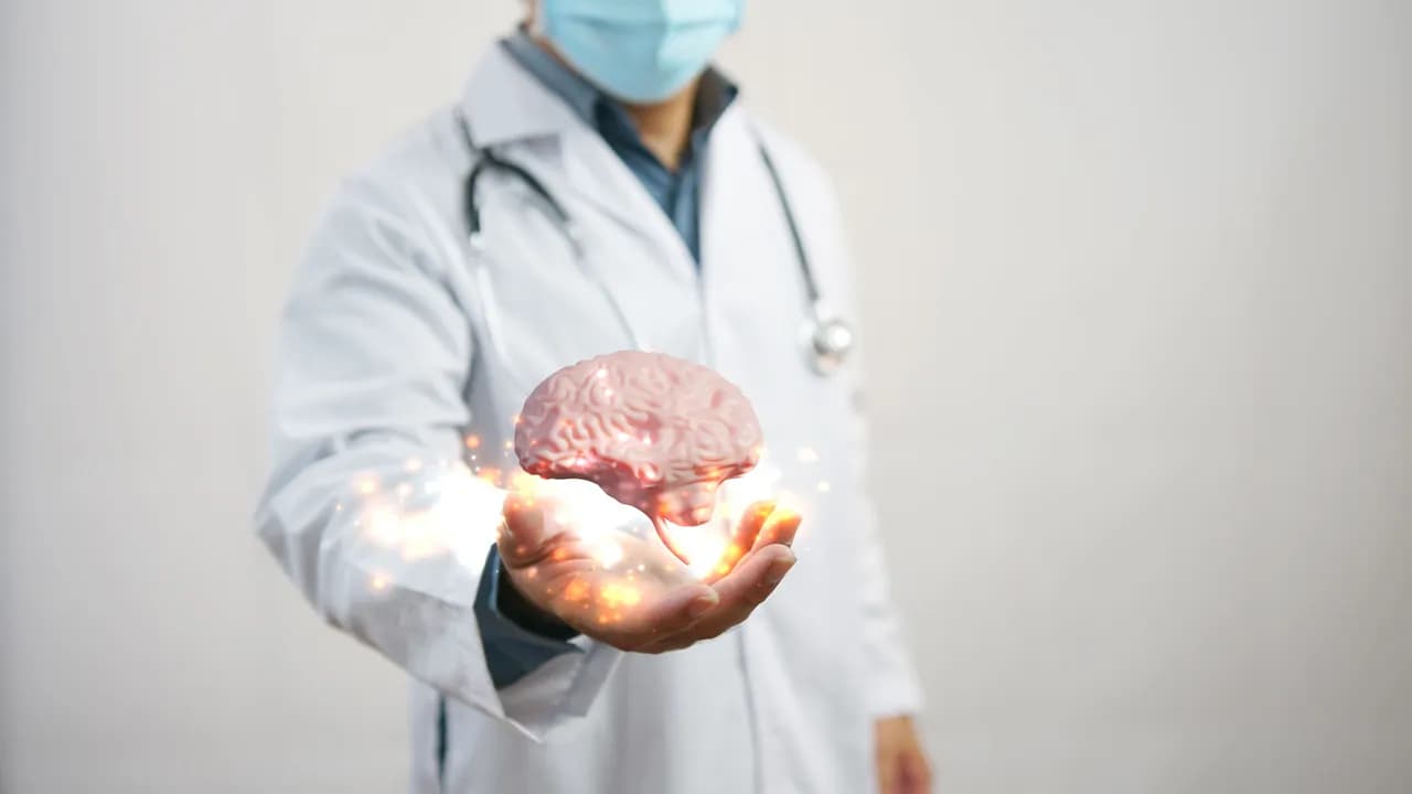 photologuephotos2023-09doctor-revisando-cerebro-concepto-diagnostico-temprano-ciencia-medicinajpg photologuephotos2023-09doctor-revisando-cerebro-concepto-diagnostico-temprano-ciencia-medicinajpg