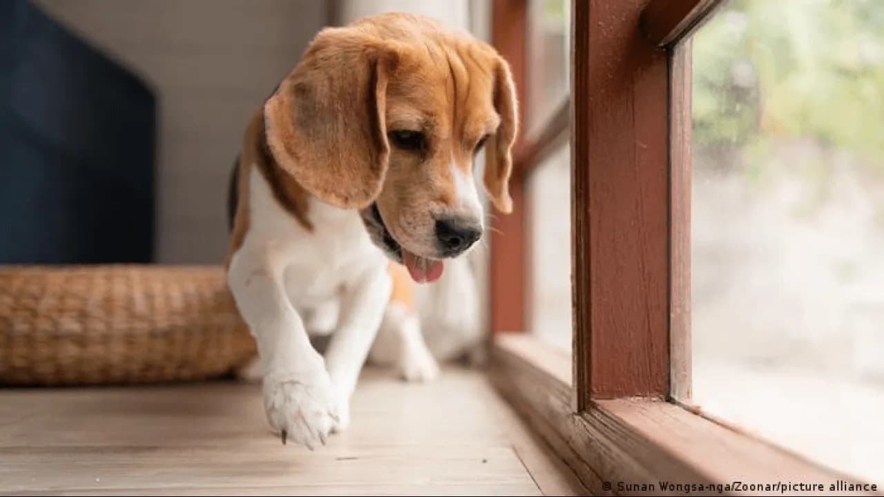 photologuephotos2023-1167386325_303png photologuephotos2023-1167386325_303png