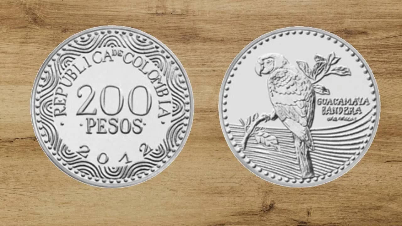 proyecto_nuevo_35.jpg proyecto_nuevo_35.jpg
