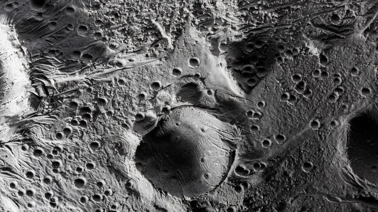 photologuephotos2023-09detalles-blanco-negro-concepto-textura-lunar_1jpg photologuephotos2023-09detalles-blanco-negro-concepto-textura-lunar_1jpg