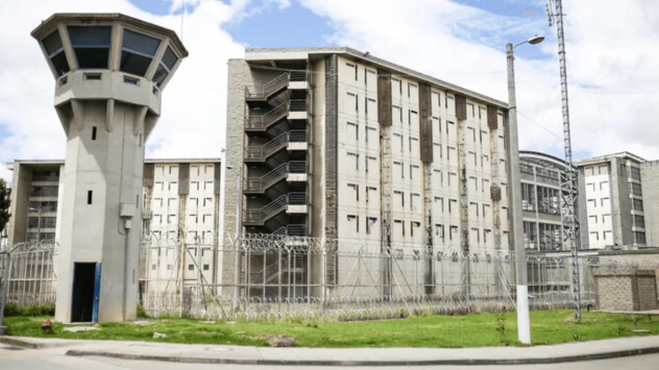 photologuephotos2023-10la_picotapng photologuephotos2023-10la_picotapng