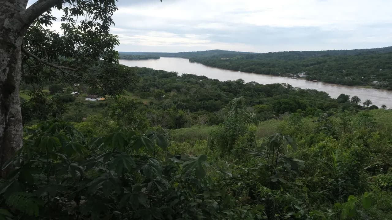 photologuephotos2023-11copia_de_15_vista_a_medio_rio_caquata_araracuara_territorio_andoke_creditos_santiago_ardila_dejusticiajpg photologuephotos2023-11copia_de_15_vista_a_medio_rio_caquata_araracuara_territorio_andoke_creditos_santiago_ardila_dejusticiajpg