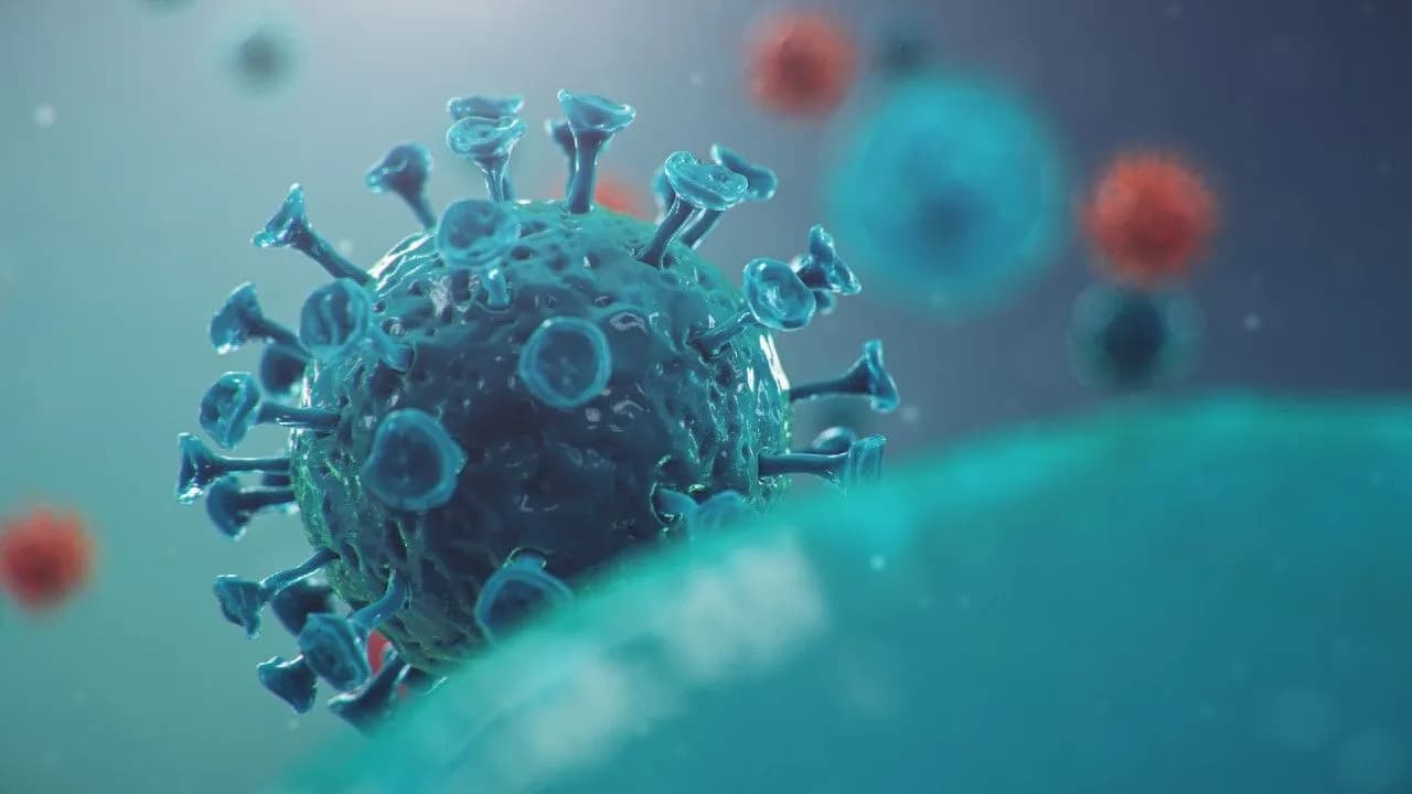photologuephotos2023-11brote-influenza-china-llamado-coronavirus-o-2019-ncov-que-ha-extendido-todo-mundo-peligro-pandemia-epidemia-humanidad-celulas-humanas-virus-infecta-celulas-ilustracion-3djpg photologuephotos2023-11brote-influenza-china-llamado-coronavirus-o-2019-ncov-que-ha-extendido-todo-mundo-peligro-pandemia-epidemia-humanidad-celulas-humanas-virus-infecta-celulas-ilustracion-3djpg