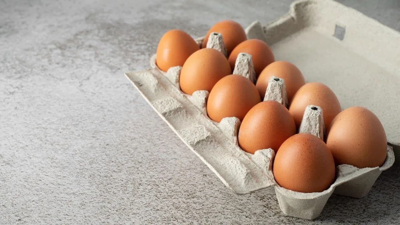 photologuephotos2024-01alimentos-comunes-que-pueden-causar-reacciones-alergicas-personasjpg photologuephotos2024-01alimentos-comunes-que-pueden-causar-reacciones-alergicas-personasjpg