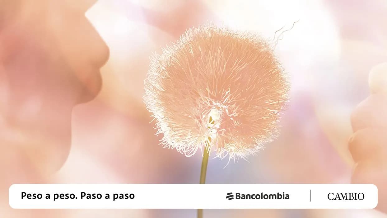 photologuephotos2023-12pantone_principaljpg photologuephotos2023-12pantone_principaljpg
