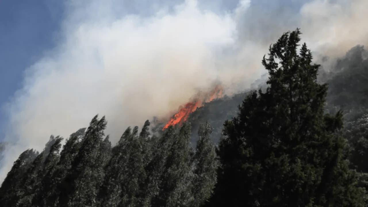 photologuephotos2024-01incendios_el_ninopng photologuephotos2024-01incendios_el_ninopng