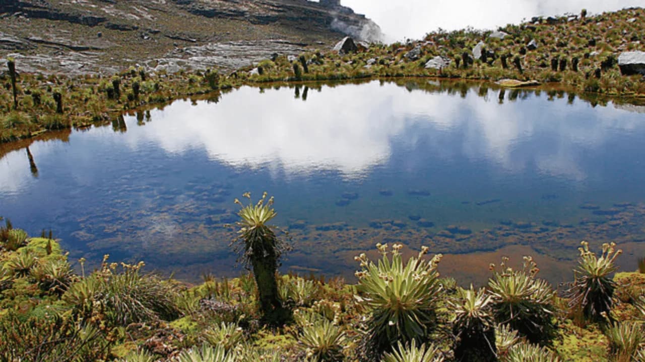 photologuephotos2024-03tamano_de_fotos_2024-03-22t145709321png photologuephotos2024-03tamano_de_fotos_2024-03-22t145709321png