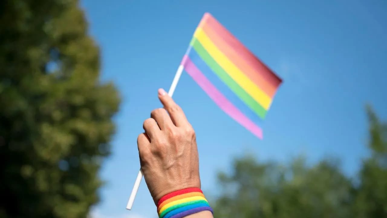 photologuephotos2024-04close-up-lgbt-flag_1jpg photologuephotos2024-04close-up-lgbt-flag_1jpg