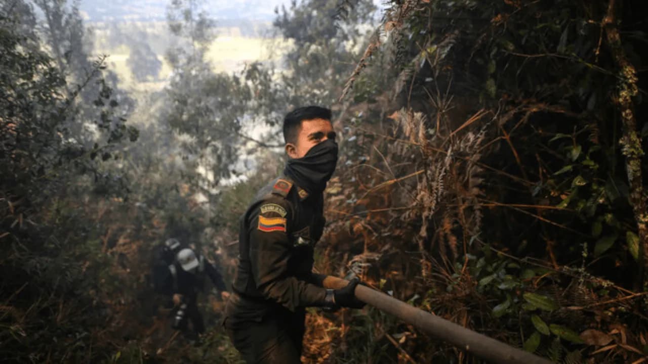 photologuephotos2024-02policia_incendios_forestalespng photologuephotos2024-02policia_incendios_forestalespng
