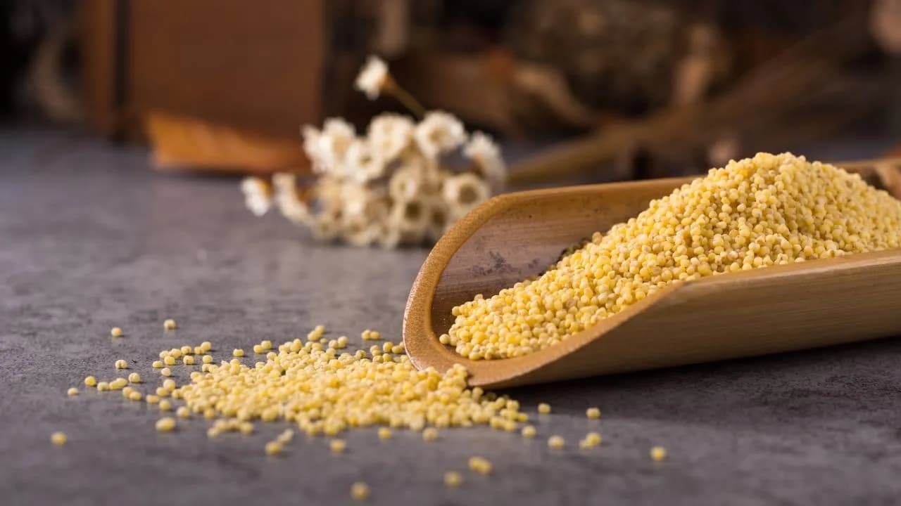 photologuephotos2024-04couscous-wooden-spoon_1jpg photologuephotos2024-04couscous-wooden-spoon_1jpg