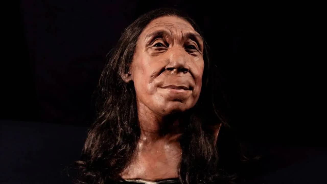 photologuephotos2024-05reconstruyen_rostro_de_una_mujer_que_vivio_hace_75000_anos_3jpg photologuephotos2024-05reconstruyen_rostro_de_una_mujer_que_vivio_hace_75000_anos_3jpg