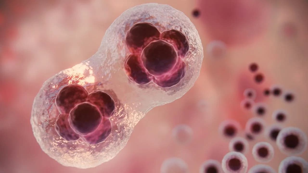 photologuephotos2024-04beautiful-fertility-concept-3d-renderingjpg photologuephotos2024-04beautiful-fertility-concept-3d-renderingjpg