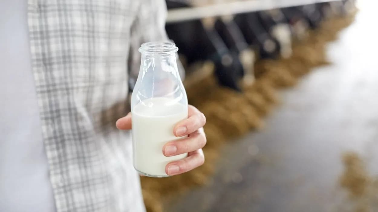 photologuephotos2024-03agriculture-industry-farming-people-animal-husbandry-concept-close-up-young-man-farmer-with-cows-milk-bottle-cowshed-dairy-farm_1jpg photologuephotos2024-03agriculture-industry-farming-people-animal-husbandry-concept-close-up-young-man-farmer-with-cows-milk-bottle-cowshed-dairy-farm_1jpg