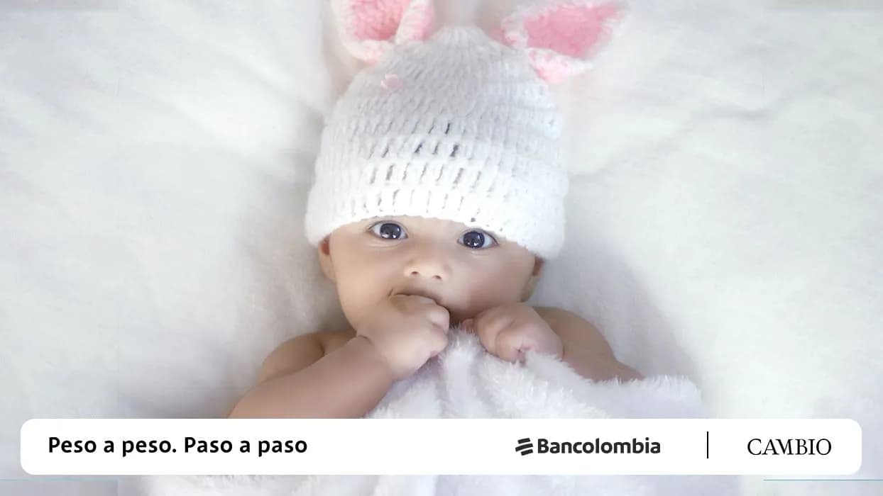 photologuephotos2024-04bebe_principaljpg photologuephotos2024-04bebe_principaljpg