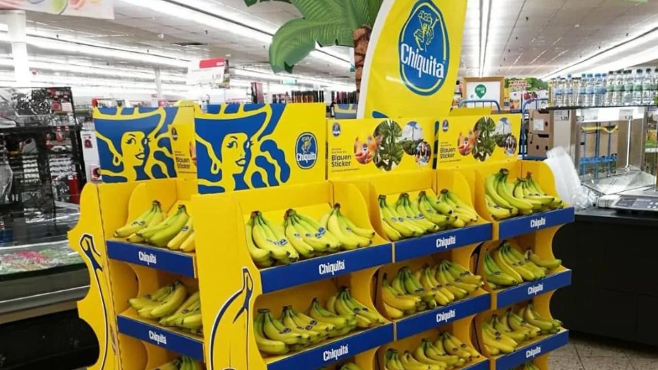 chiquita.jpg chiquita.jpg