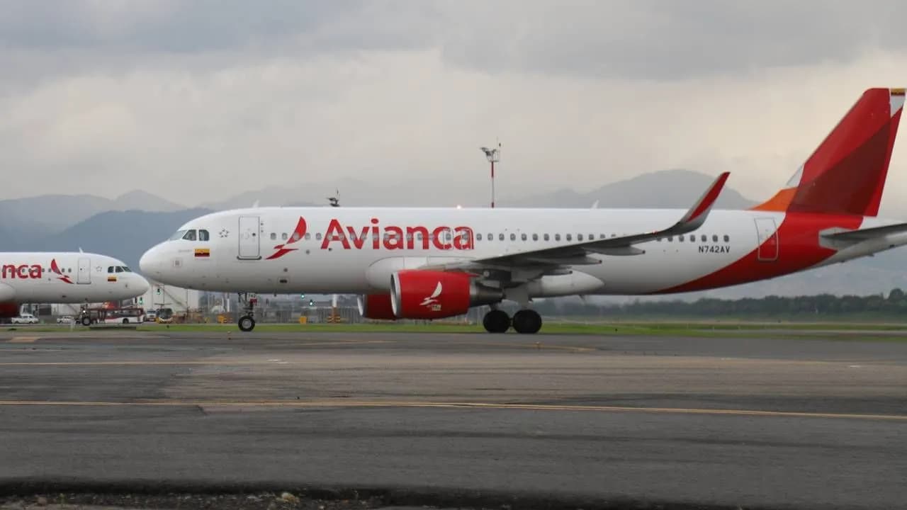photologuephotos2024-07avianca_prohibira_abordaje_de_pasajeros_que_no_tengan_vuelo_de_regreso_al_paisjpg photologuephotos2024-07avianca_prohibira_abordaje_de_pasajeros_que_no_tengan_vuelo_de_regreso_al_paisjpg